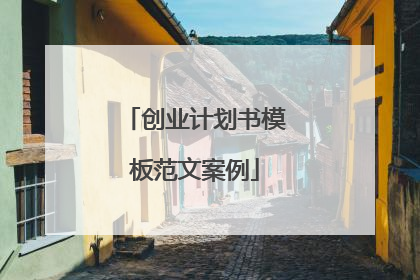 创业计划书模板范文案例