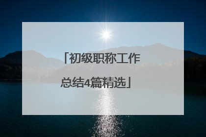 初级职称工作总结4篇精选