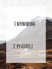 初级职称工作总结