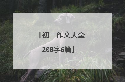 初一作文大全200字6篇