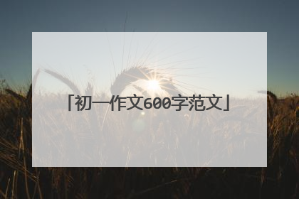 初一作文600字范文