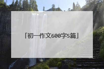 初一作文600字5篇