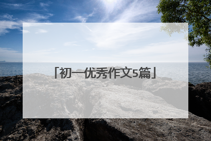 初一优秀作文5篇