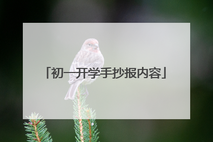 初一开学手抄报内容