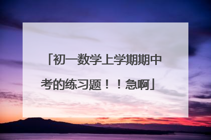 初一数学上学期期中考的练习题!!急啊
