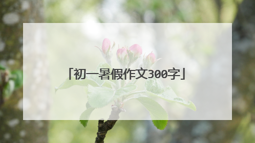 初一暑假作文300字