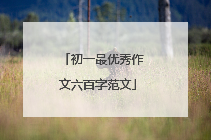 初一最优秀作文六百字范文