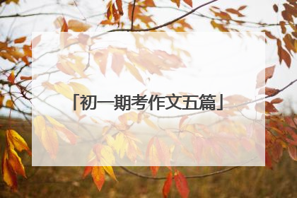 初一期考作文五篇