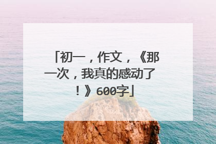 初一,作文,《那一次,我真的感动了!》600字