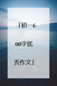 初一600字优秀作文