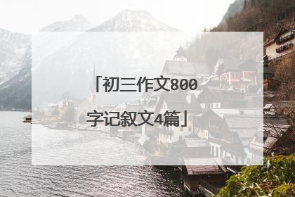 初三作文800字记叙文4篇