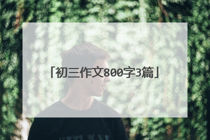 初三作文800字3篇