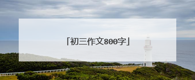 初三作文800字