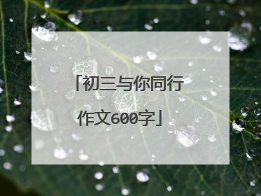 初三与你同行作文600字