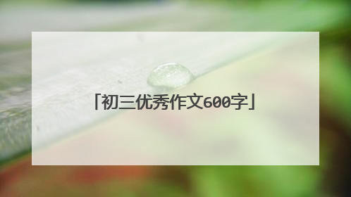 初三优秀作文600字