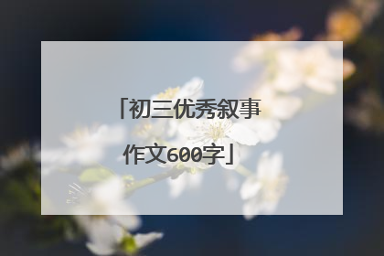 初三优秀叙事作文600字