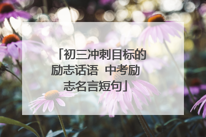 初三冲刺目标的励志话语 中考励志名言短句
