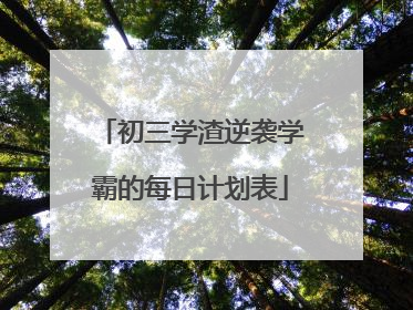 初三学渣逆袭学霸的每日计划表
