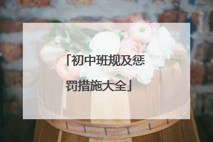初中班规及惩罚措施大全