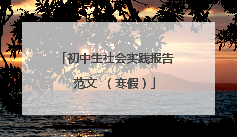 初中生社会实践报告 范文 (寒假)