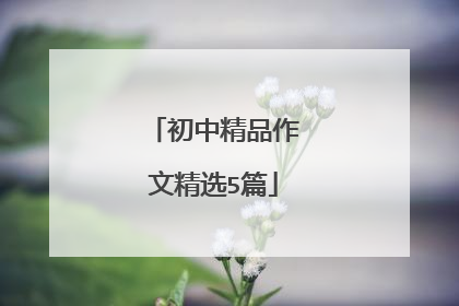 初中精品作文精选5篇