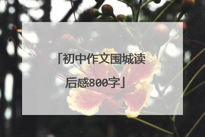 初中作文围城读后感800字
