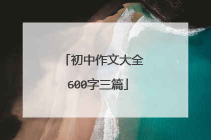 初中作文大全600字三篇