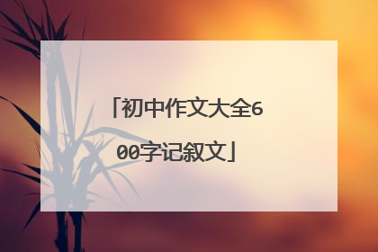 初中作文大全600字记叙文