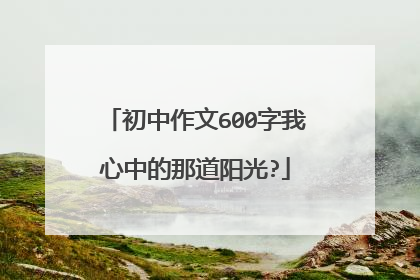 初中作文600字我心中的那道阳光?