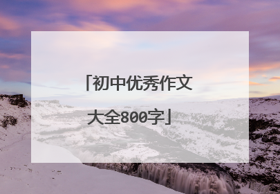 初中优秀作文大全800字