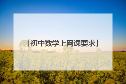 初中数学上网课要求
