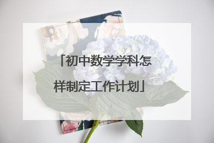 初中数学学科怎样制定工作计划