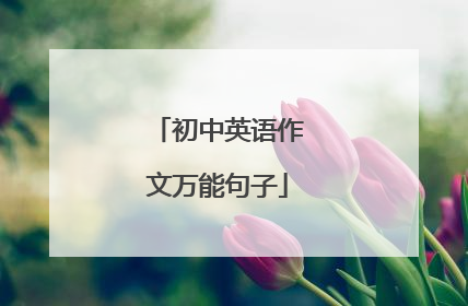 初中英语作文万能句子