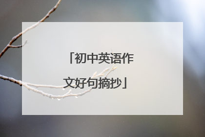 初中英语作文好句摘抄