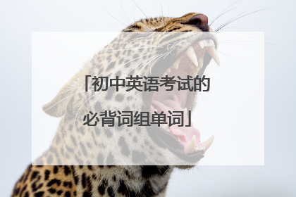 初中英语考试的必背词组单词