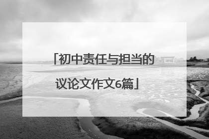 初中责任与担当的议论文作文6篇