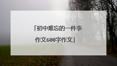 初中难忘的一件事作文600字作文