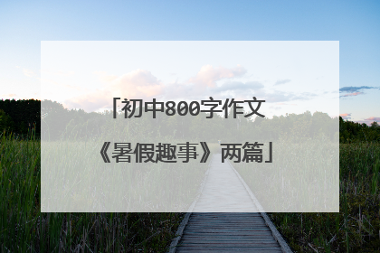初中800字作文《暑假趣事》两篇