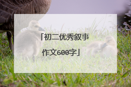 初二优秀叙事作文600字