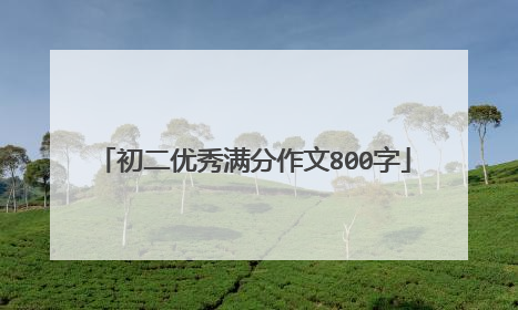 初二优秀满分作文800字