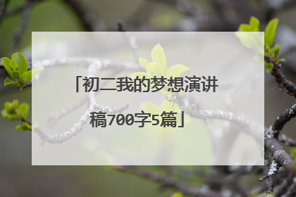初二我的梦想演讲稿700字5篇