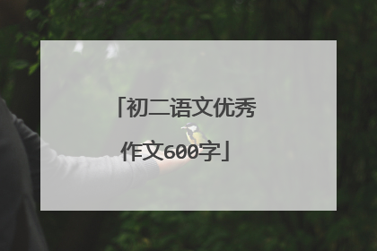 初二语文优秀作文600字