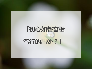 初心如磐奋楫笃行的出处？
