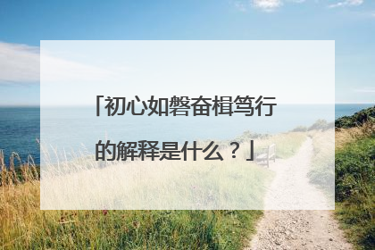 初心如磐奋楫笃行的解释是什么？