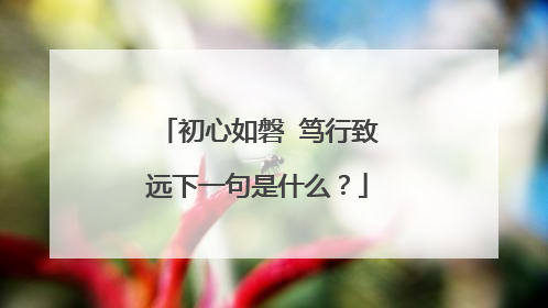 初心如磐 笃行致远下一句是什么？