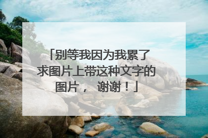 别等我因为我累了 求图片上带这种文字的图片, 谢谢!