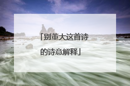 别董大这首诗的诗意解释