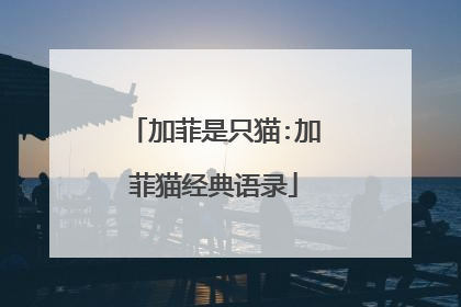 加菲是只猫:加菲猫经典语录