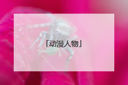 动漫人物