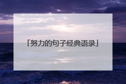 努力的句子经典语录